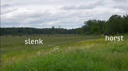 Vroege Vogels in de klas: De Peelrandbreuk