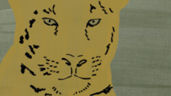 Boek in beeld: Jaguarman van Raoul de Jong