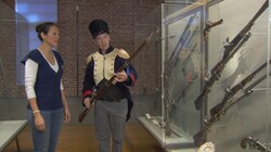 Vechten in het Franse leger: Tijdens de Franse tijd in Nederland