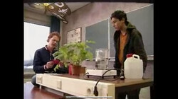 Bio-bits vmbo: planten: Bladeren