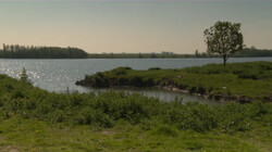 Boerenland wordt natuurgebied: Polders weer onder water zetten of niet?