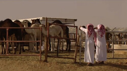 3 op Reis in de klas: Saoedi-Arabië