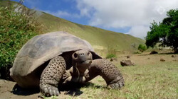 Galapagos in de klas: Evolutie
