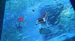 Dansende stoelen bij het aquarium: Stoelen dansen