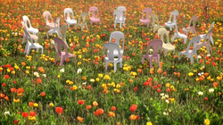 Dansende stoelen in de bloementuin: Stoelen dansen