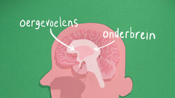Waarom word je boos?: Niet flippen, rechillen!