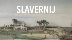 Topstukken van het Rijksmuseum: Slavernij in het Rijksmuseum