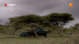 Nienke slaapt in Serengeti National Park