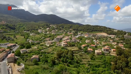 Chris scheurt rond op Corsica in zijn Deux Chevaux.