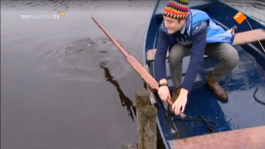 Timo en Finne gaan vissen: vraag 2