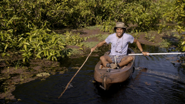 Maurice vaart door de Amazone