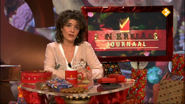 Het Sinterklaasjournaal - Het Sinterklaasjournaal