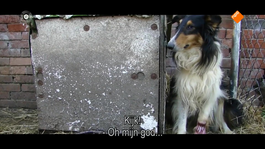 Ellie Lust ziet beelden van een illegale puppy fokkerij