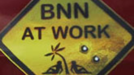 BNN at work 
