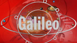 Galileo Is God gezond?