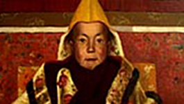 De 14 Dalai Lama's DE 14 DALAI LAMA'S
