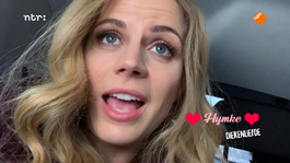 Vlogger Hymke: Dierenliefde