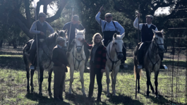 Paardenstad van Portugal