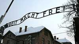 Nos 65 Jaar Bevrijding Auschwitz - Nos 65 Jaar Bevrijding Auschwitz