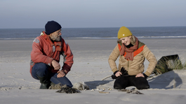 Strandjutten op Schier