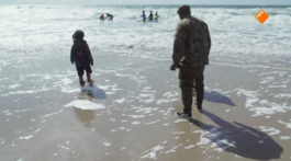 Familie Cudogham gaat surfen