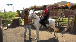 Cowboys in Burkina Faso