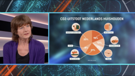 Klimaat: wat kan je er zelf aan doen?