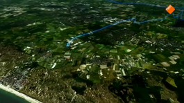 mantelmeeuw: vlucht van 332 km