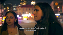 De nachtdieren van San Francisco
