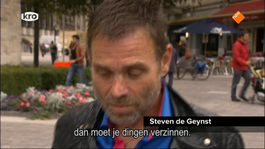 De Wandeling - Steven Van Der Geynst