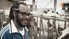 Grimassen - Marlon Kicken - De Zoektocht (willemstad, Curaçao)