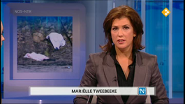 Nieuwsuur - Nieuwsuur