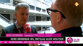 Hero Brinkman wil ontslag Aleid Wolfsen