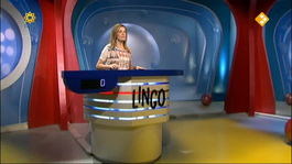 Lingo - Lingo