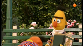 Sesamstraat: 10 voor... 10 voor Bert & Ernie