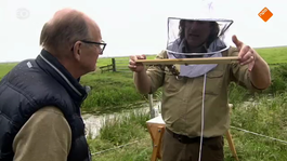 Arjan geeft kijkje in bijenkorf