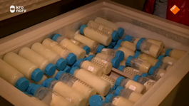 Een vriezer vol moedermelk
