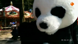 Een selfie met de panda