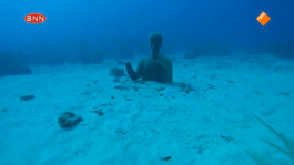 De onderwaterzeeheld van Guadeloupe