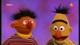 Sesamstraat 10 voor... Bert & Ernie