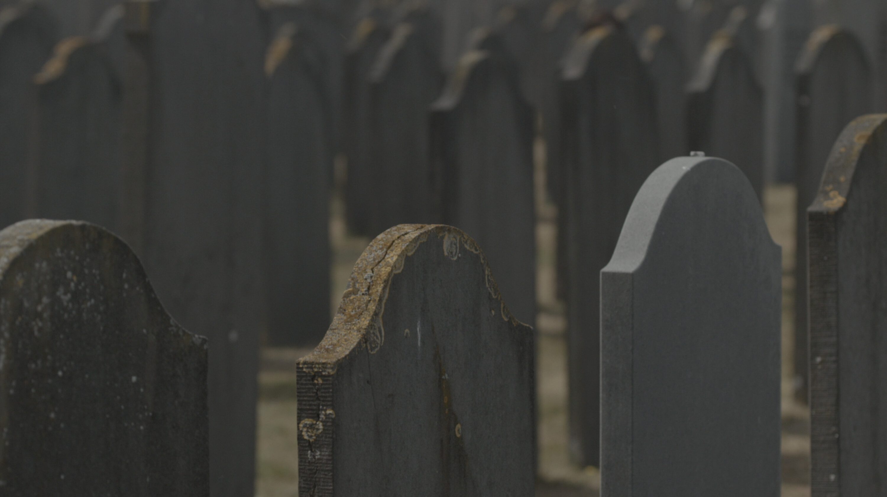 Het olifantenkerkhof