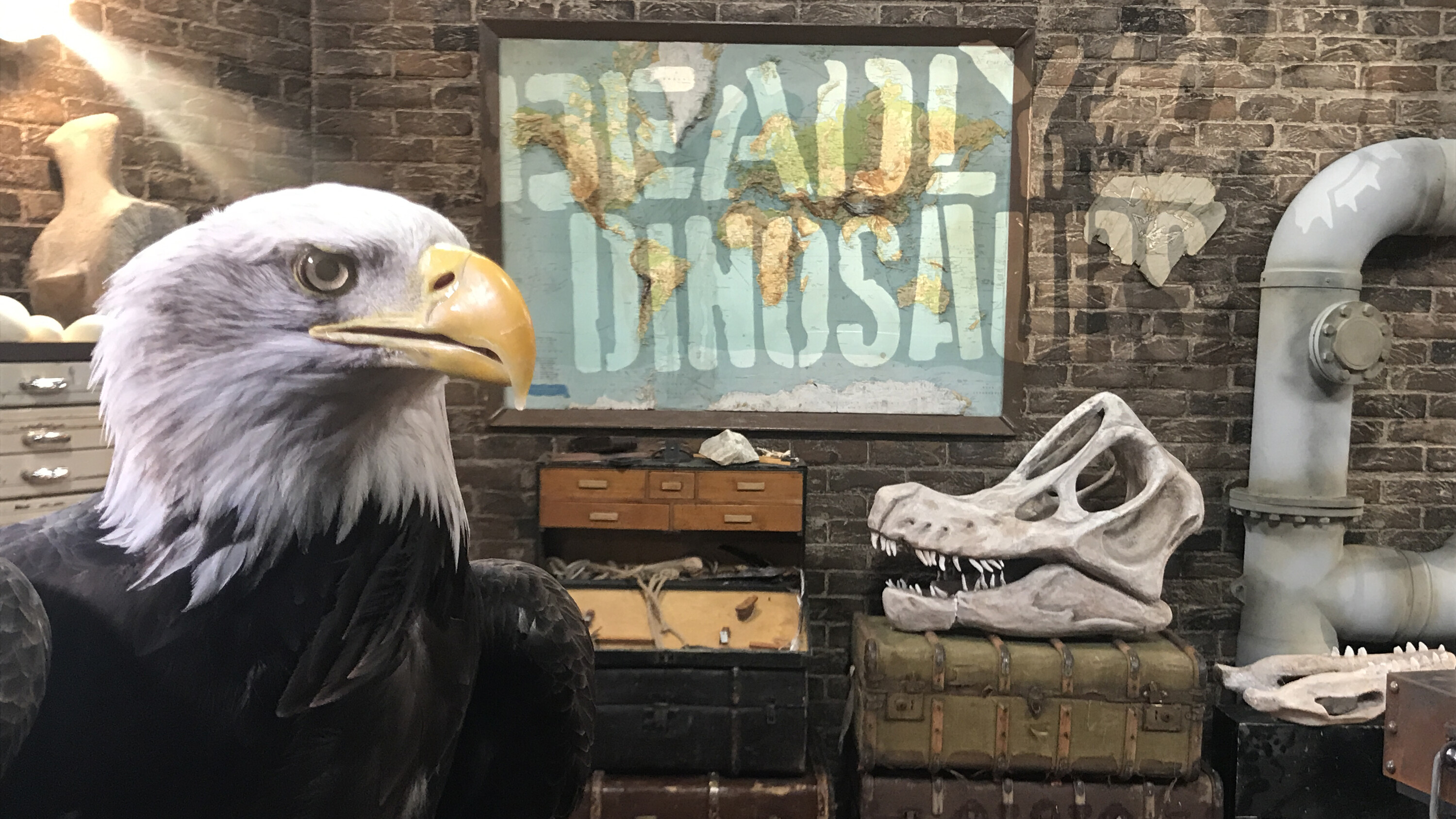 Backshalls ultieme dinosaurus