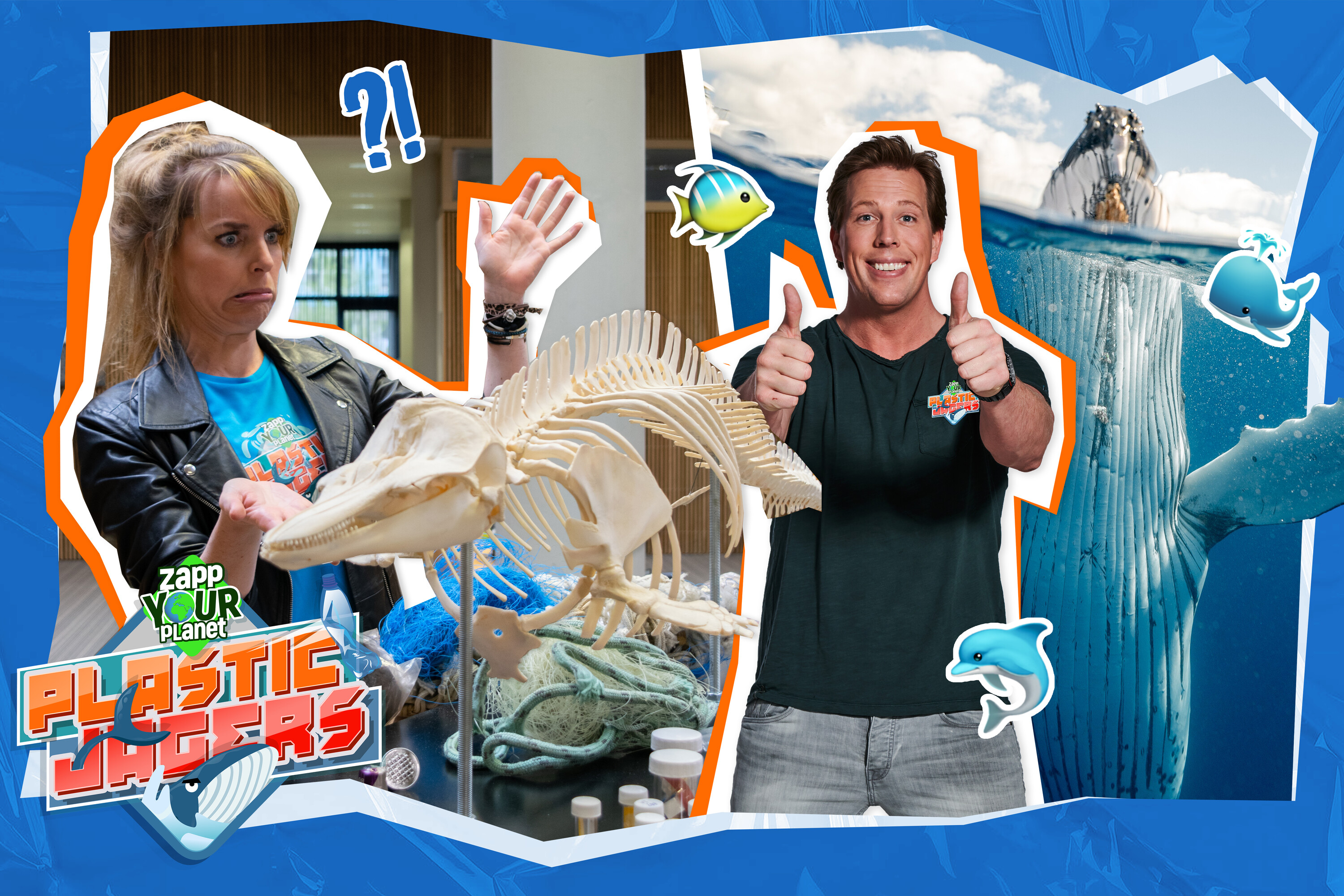 Hoe helpen zeedierendokters dieren die verstrikt zitten in plastic?!