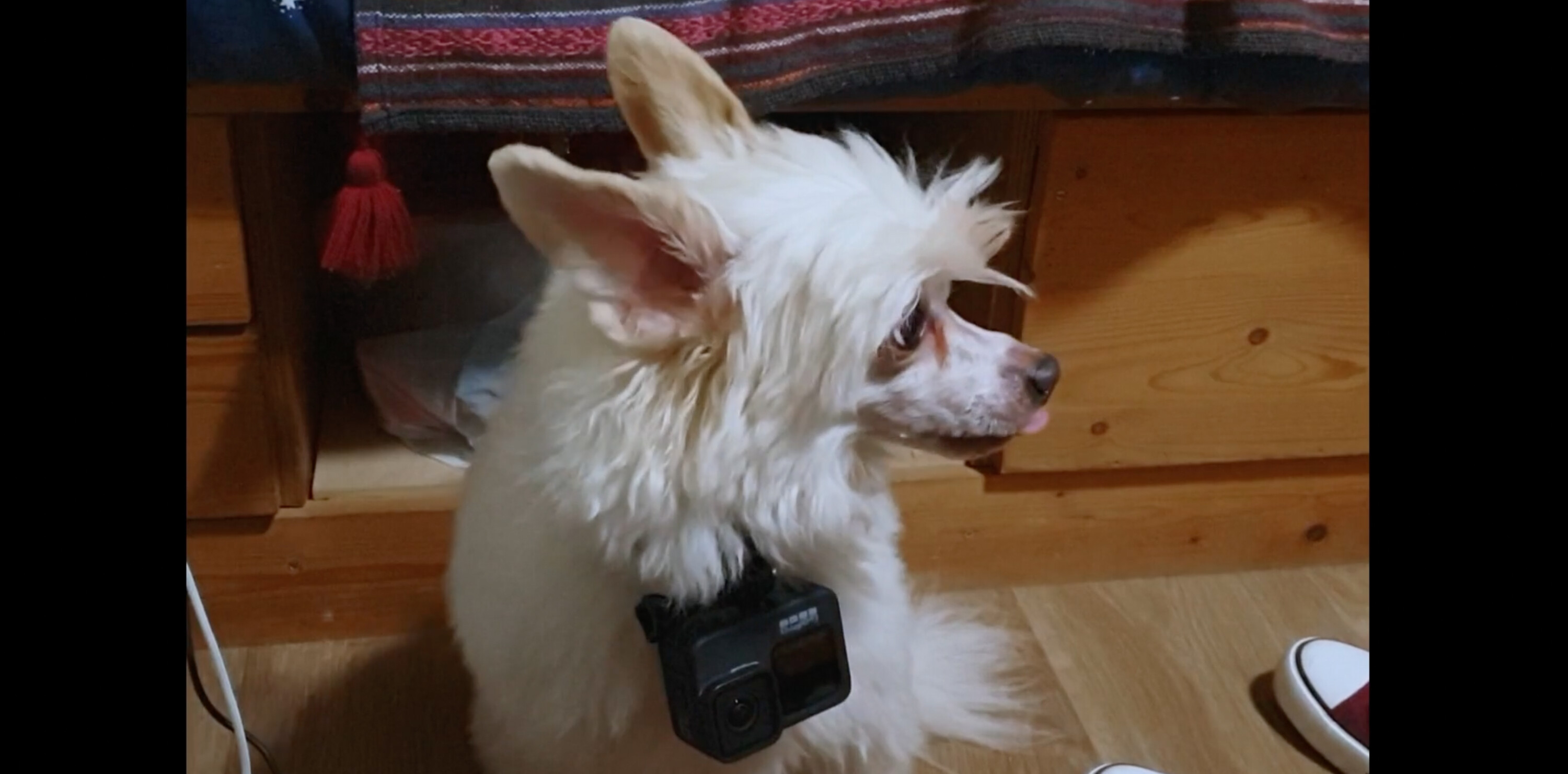 And A Happy New Year