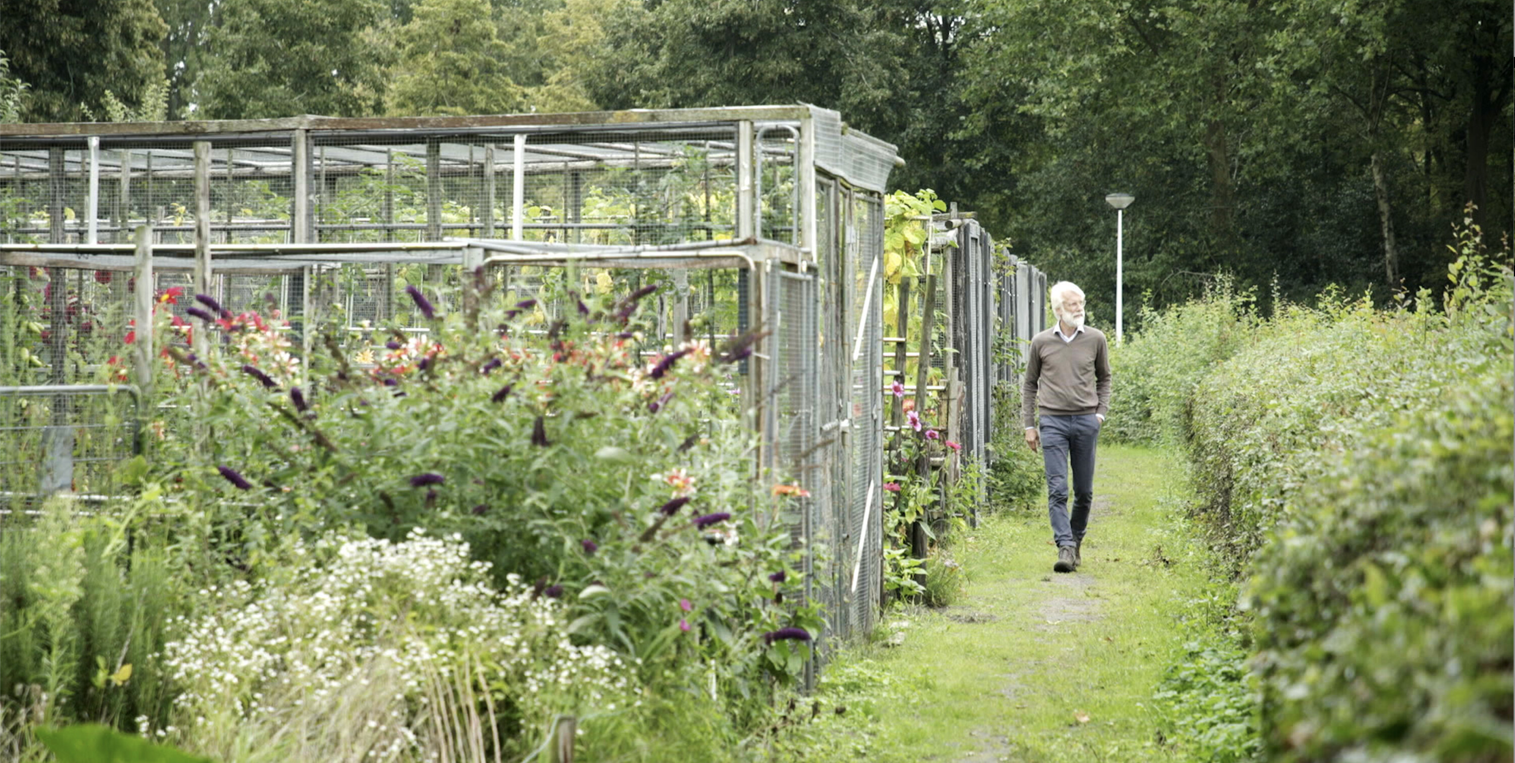 Een nieuwe realiteit