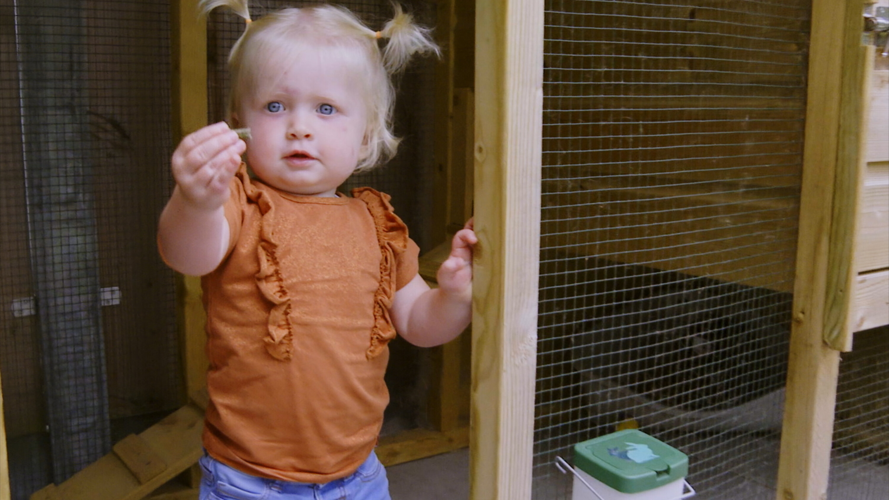 Sanne | HANDEN AAN DE COUVEUSE - HOE IS HET NU MET? #1