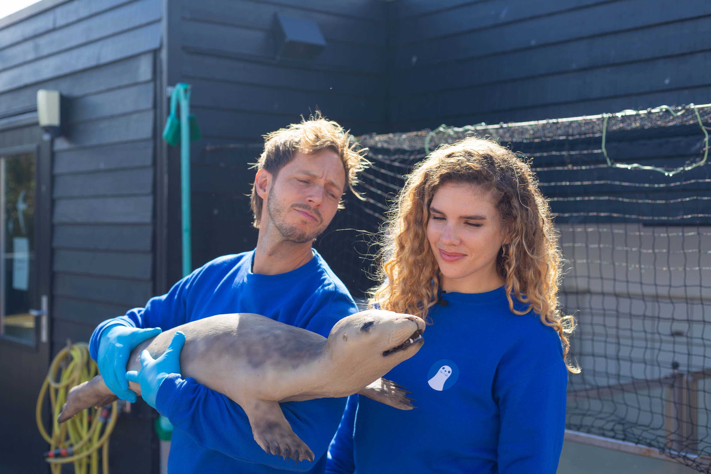 Zeehonden, zalmpap en poep
