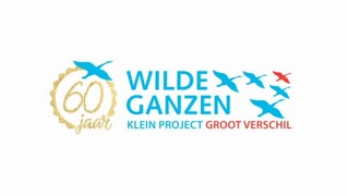 Wilde Ganzen - Kenia