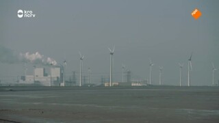 De Monitor - Windenergie Vs Natuur