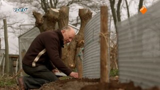 Maartens Moestuin - Tuinbonen, Erwten En Bramen